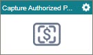 Capture Authorized Payment activity