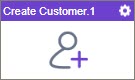 Create Customer activity