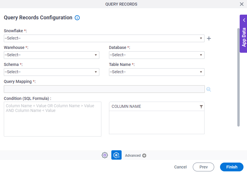 Query Records Configuration screen