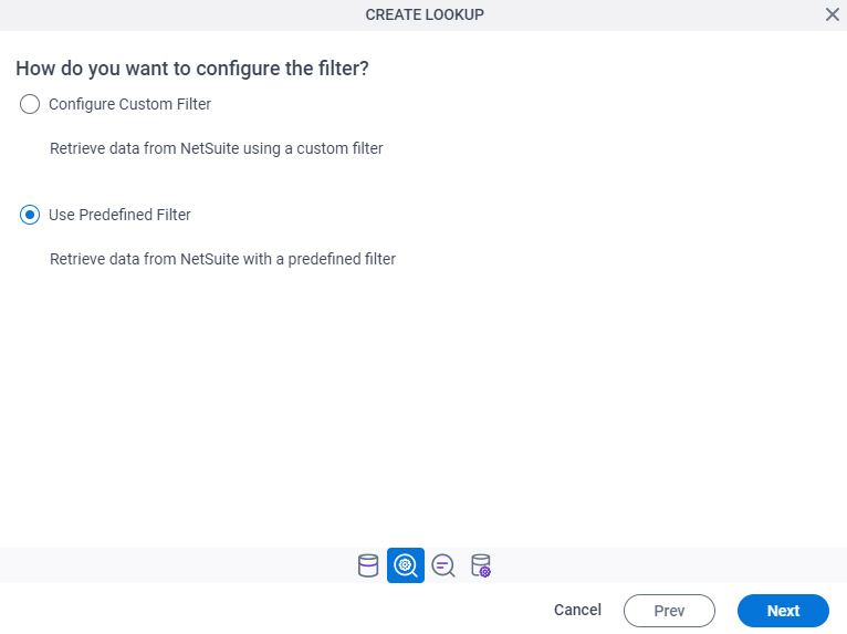 Oracle NetSuite Filter Type